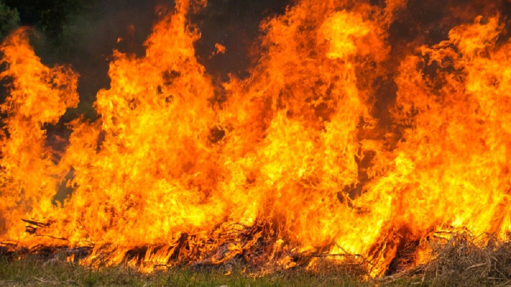 Emergencia En Querétaro: Más De 200 Incendios Desatan Alarmas En 2026 - Noticias Notivalle Emergencia En Querétaro: Más De 200 Incendios Desatan Alarmas En 2026