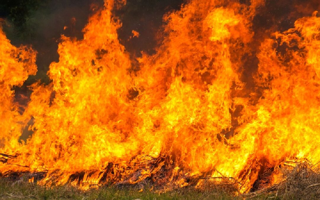 Emergencia en Querétaro: Más de 200 Incendios Desatan Alarmas en 2026