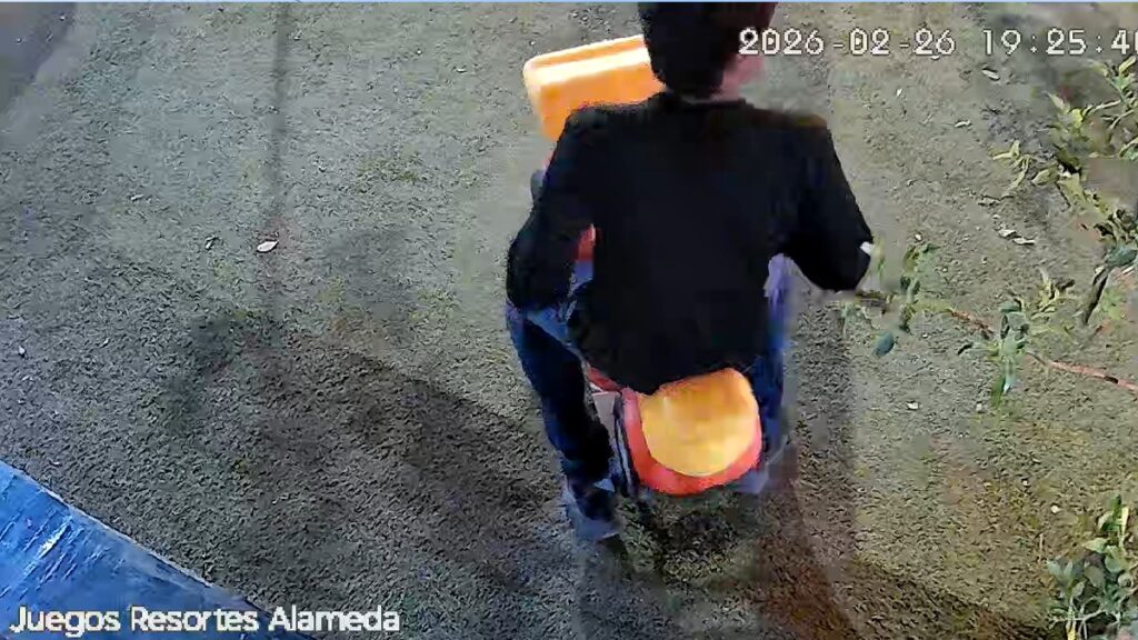 Detención De Joven Por Destruir Juego Infantil En La Alameda De Torreón - Noticias Notivalle Detención De Joven Por Destruir Juego Infantil En La Alameda De Torreón