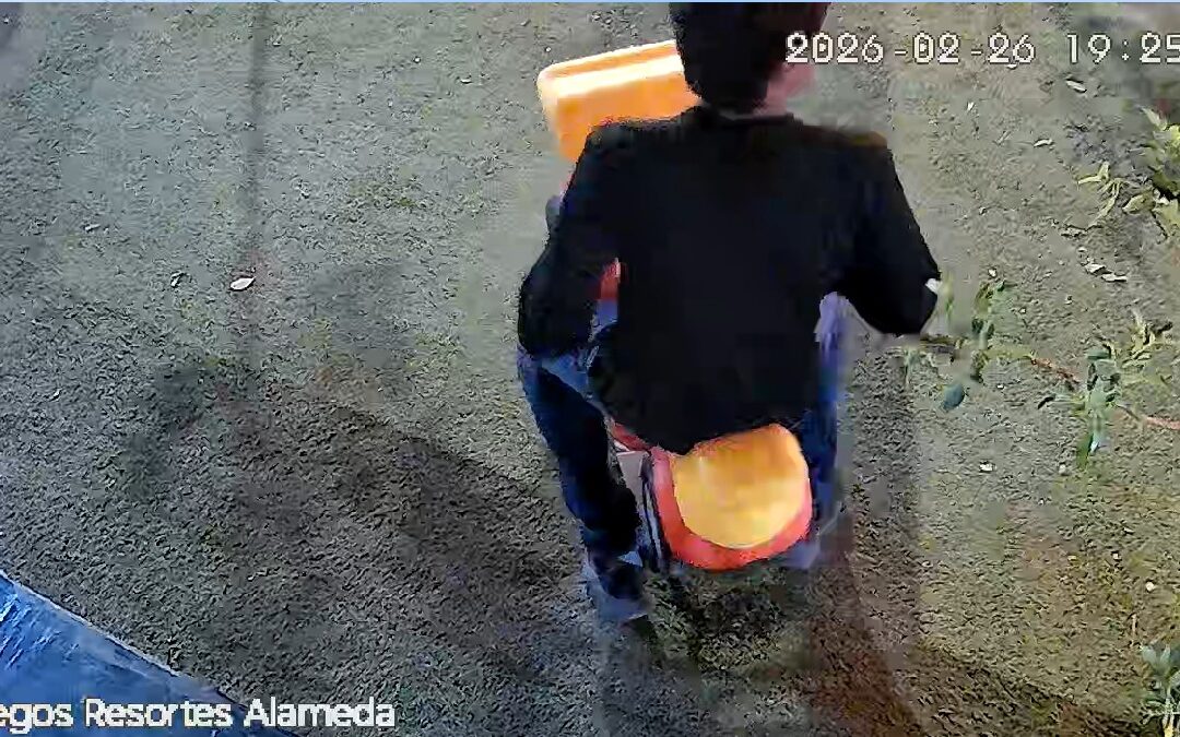 Detención de Joven por Destruir Juego Infantil en la Alameda de Torreón