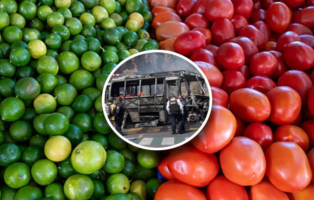 Aumento De Precios Del Jitomate Y Limón En Jalisco Tras Bloqueos - Noticias Notivalle Aumento De Precios Del Jitomate Y Limón En Jalisco Tras Bloqueos