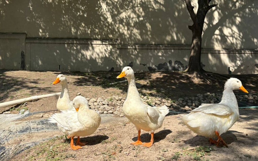 Tragedia en Parque Corporativo Santa Engracia: Importancia de Respetar Señalamientos de Tráfico