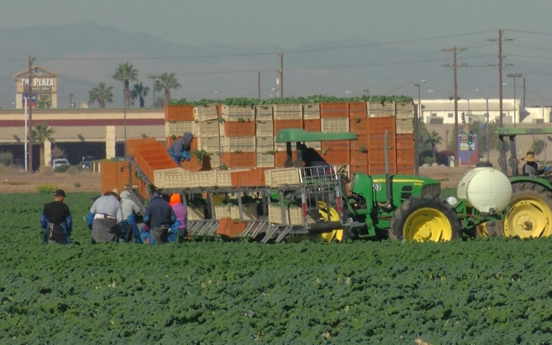 California y la Costa Central Celebran el Primer Día de los Trabajadores del Campo