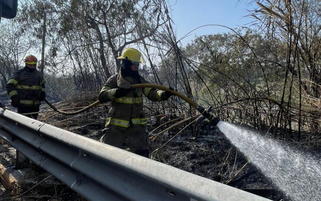 Incendio en el Río Santa Catarina: Cuerpos de Rescate en Acción en Monterrey