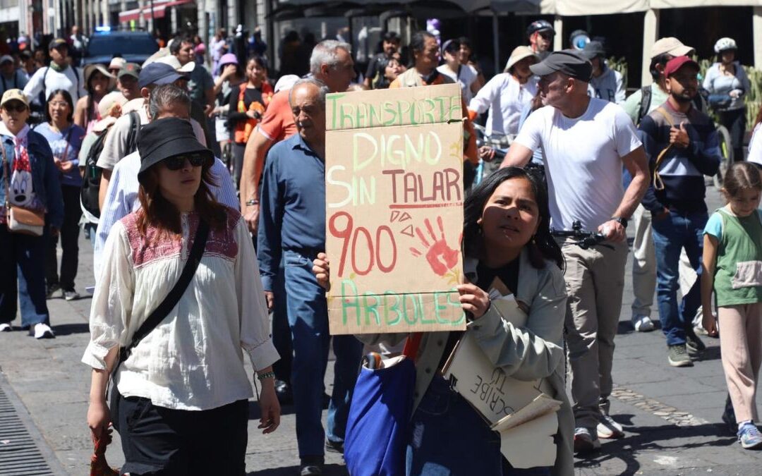 Ambientalistas Exigen Cambiar Ruta del Cablebús en Puebla para Prevenir el Ecocidio