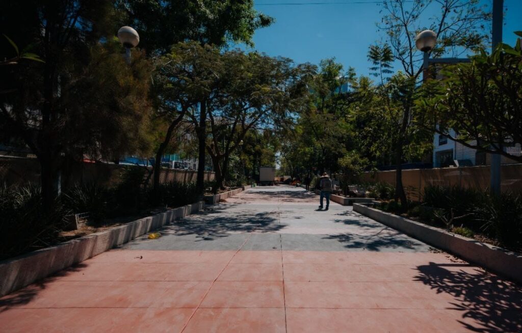 Verónica Delgadillo Supervisa La Rehabilitación De Paseo Chapultepec: ¿Cuánto Costarán Las Obras?