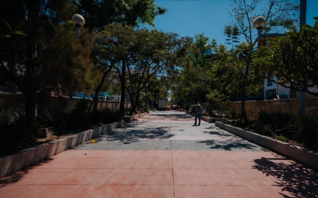 Verónica Delgadillo supervisa la rehabilitación de Paseo Chapultepec: ¿Cuánto costarán las obras?