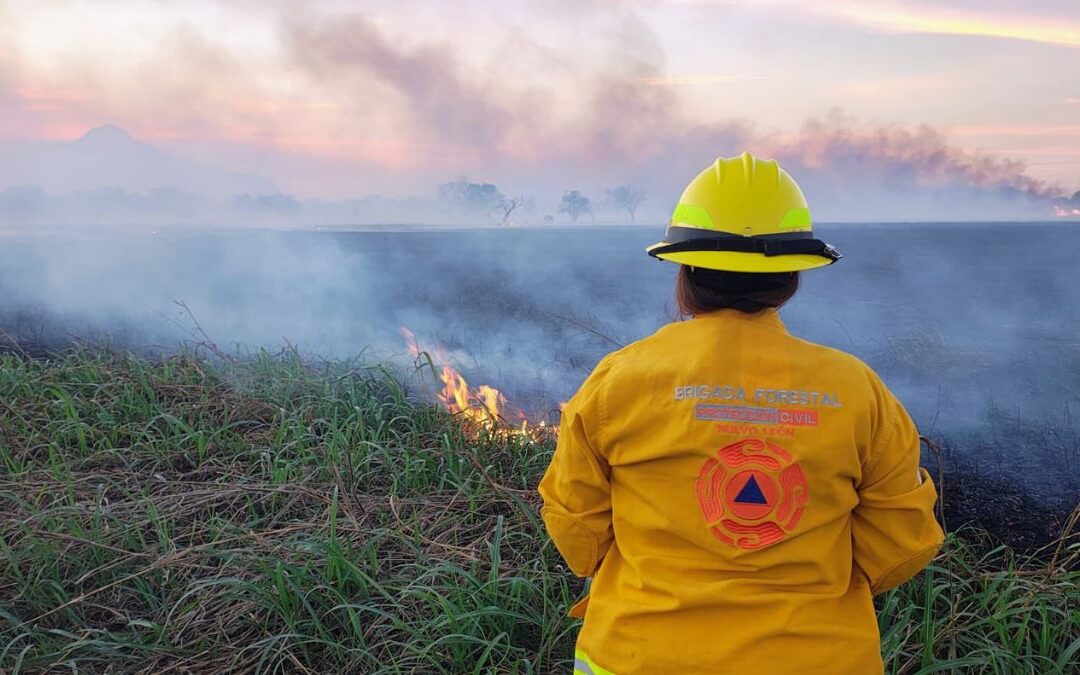 Incendios en Nuevo León: Más de mil incendios reportados en febrero 2023