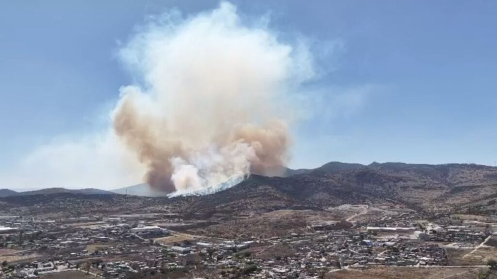 Incendio En Tepotzotlán: Investigaciones Revelan Video Del Inicio Del Incendio Presuntamente Provocado
