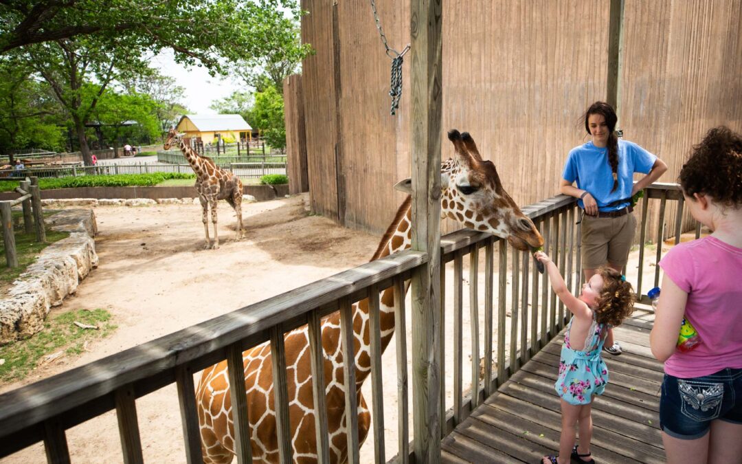 ¡Apoya al Sedgwick County Zoo y ayúdanos a ser uno de los 10 mejores zoológicos de EE.UU.!