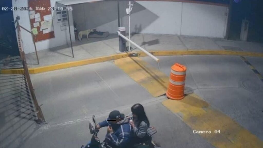 Descubren El Cuerpo De Ana Karen, Joven De 19 Años Desaparecida En Metepec Tras Viaje Por Aplicación - Noticias Notivalle Descubren El Cuerpo De Ana Karen, Joven De 19 Años Desaparecida En Metepec Tras Viaje Por Aplicación