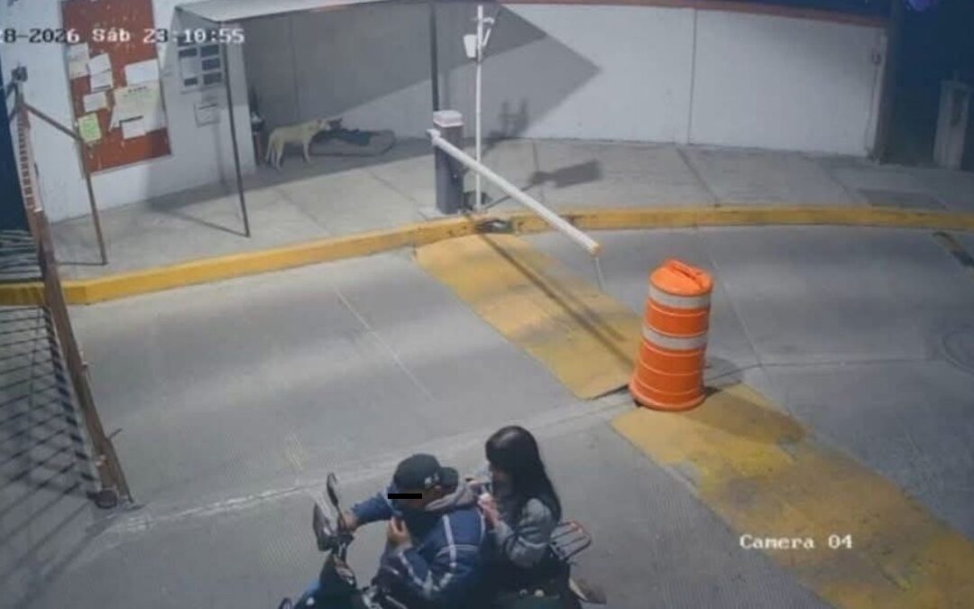 Descubren el cuerpo de Ana Karen, joven de 19 años desaparecida en Metepec tras viaje por aplicación