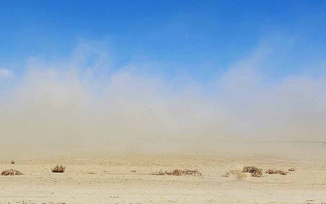 Polvo afecta Valle Coachella