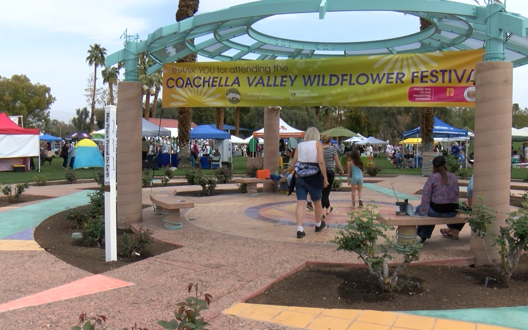 Festival de Flores Silvestres del Valle de Coachella llega a Palm Desert este sábado