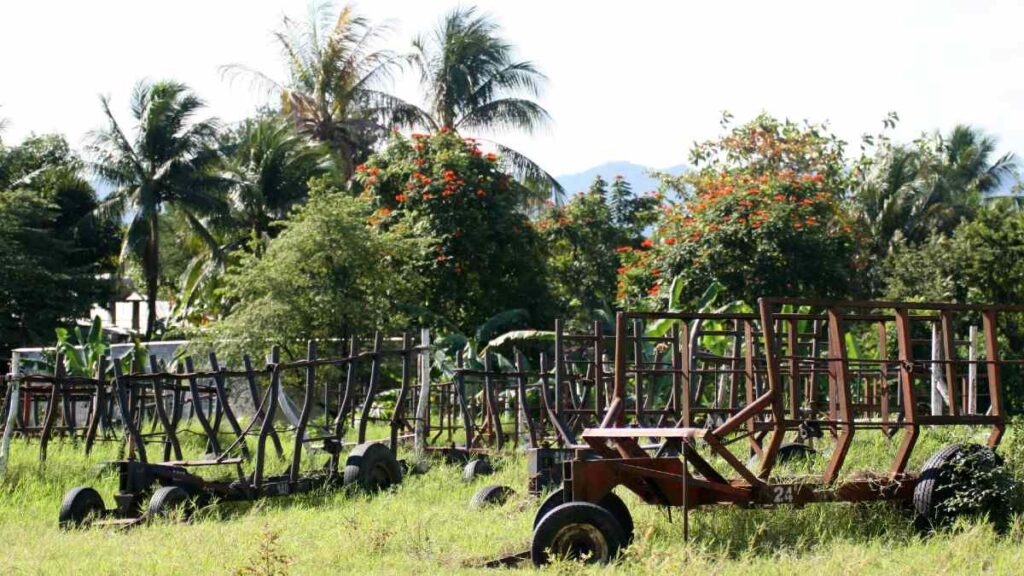 Conflicto En Medio Oriente: Precios De Alimentos En México Podrían Dispararse