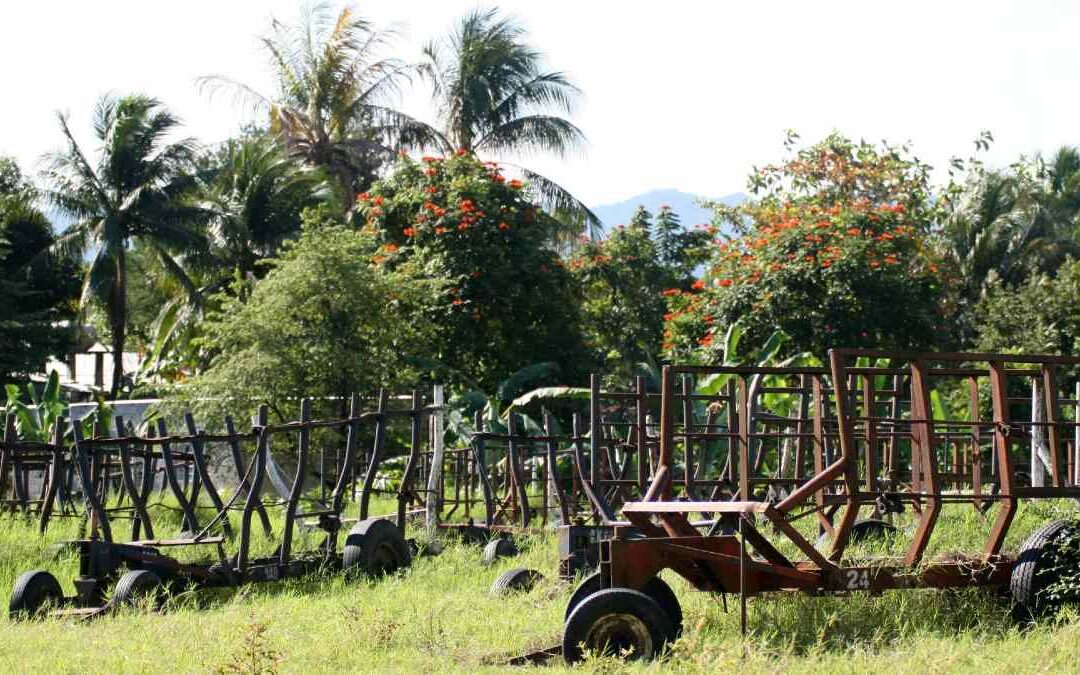 Conflicto en Medio Oriente: Precios de alimentos en México podrían dispararse