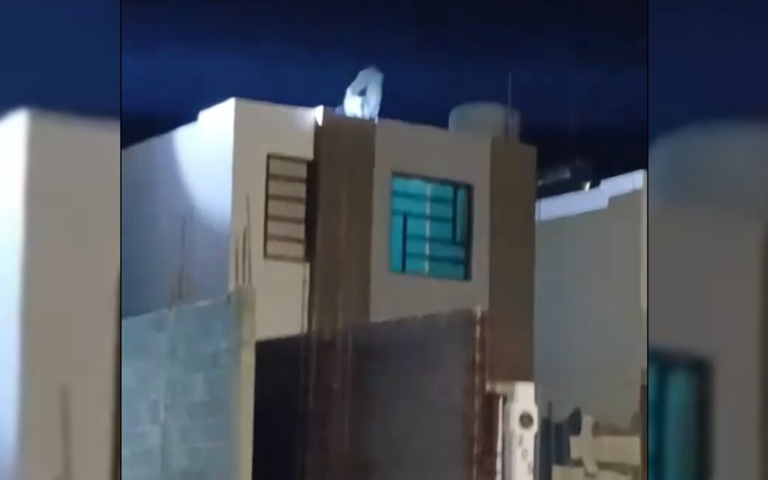 Impactante momento: Hombre se lanza al vacío para evitar su detención | VIDEO