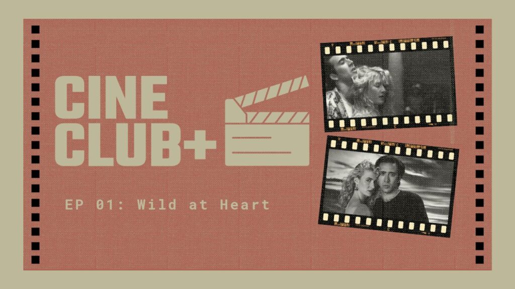Cine Club: Explorando 'Wild At Heart', Romance Y Violencia De David Lynch En Fabens - Noticias Notivalle Cine Club: Explorando ‘Wild At Heart’, Romance Y Violencia De David Lynch En Fabens