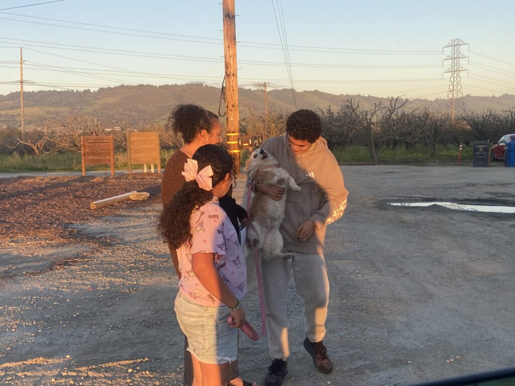 Residentes De Watsonville Temen Por Seguridad Ante El Proyecto De Almacenamiento De Energía Seahawk