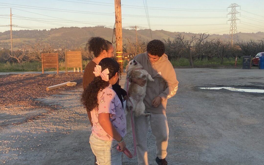 Residentes de Watsonville Temen por Seguridad ante el Proyecto de Almacenamiento de Energía Seahawk