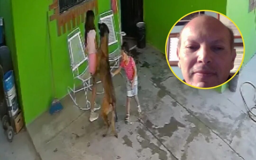 Pilo, el perro pastor belga que atacó a una niña en Frontera, Coahuila: Análisis de un experto