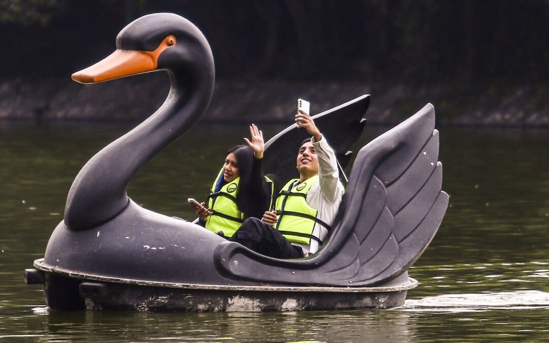 Calidad del Aire en CdMx: ¿Es Hoy un Día de Contingencia Ambiental?