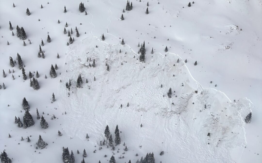 Muerte de Esquiador en Avalancha Cerca de Ptarmigan Pass: Primer Fallecimiento de la Temporada en Colorado