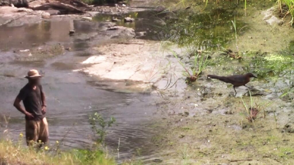 Infecciones Severas En La Huasteca Potosina: Contaminación De Ríos Preocupa A La Población