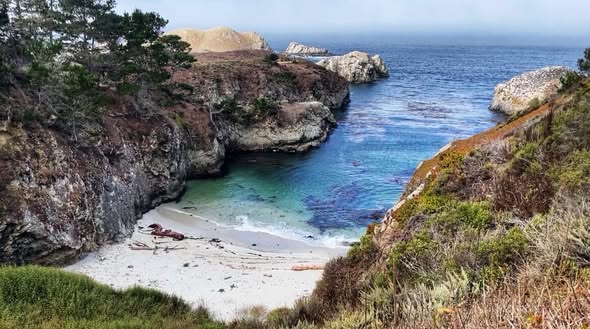 Trágico incidente en Big Sur: Adolescente fallece en parque estatal Pfeiffer