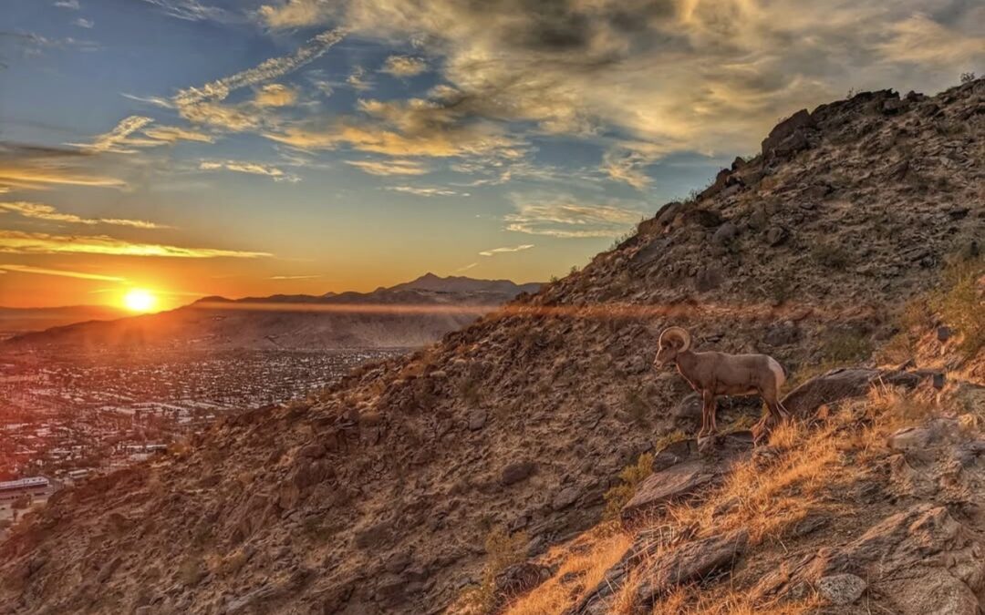 Protegen más tierras ancestrales en el desierto