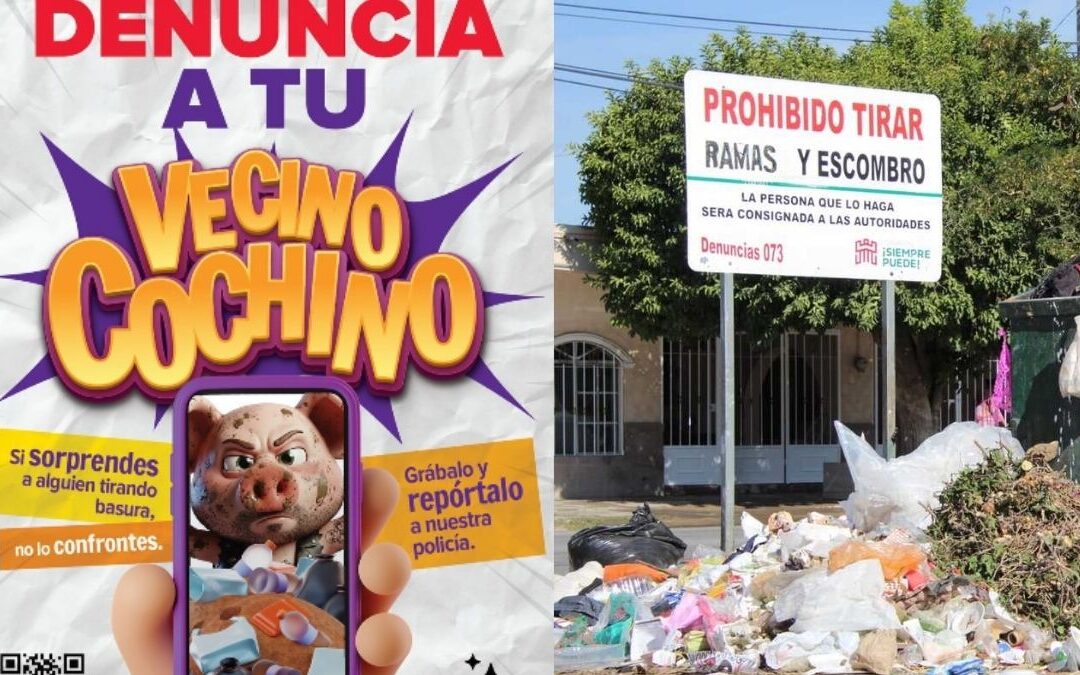 Reporta la Basura en Torreón: Conoce las Multas y Tu Papel en la Limpieza Urbana
