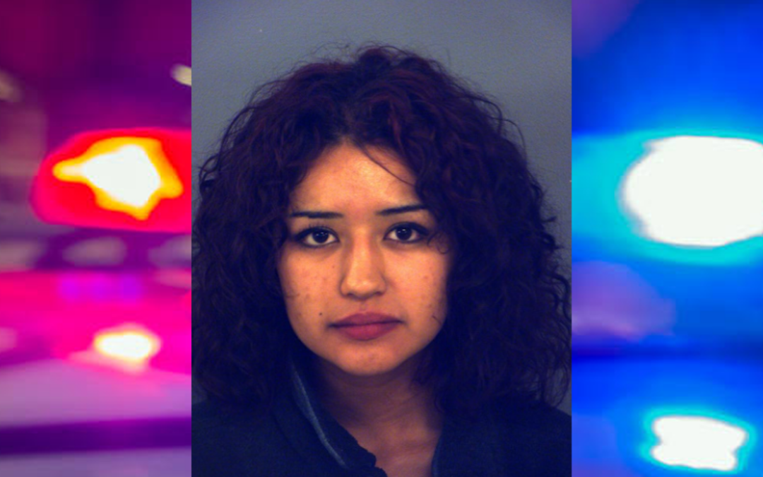 Arresto por Violencia Familiar en Horizon City: Mujer Agrede a su Hermana