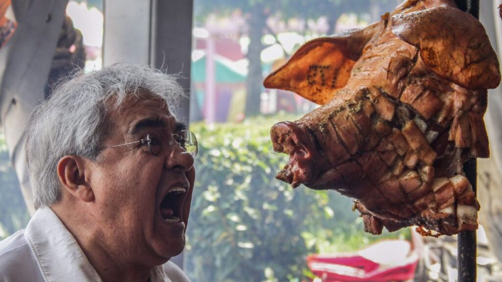 Crisis De Desnutrición En Puebla: Se Detectan 6 Nuevos Casos Diarios En 2026 - Noticias Notivalle Crisis De Desnutrición En Puebla: Se Detectan 6 Nuevos Casos Diarios En 2026