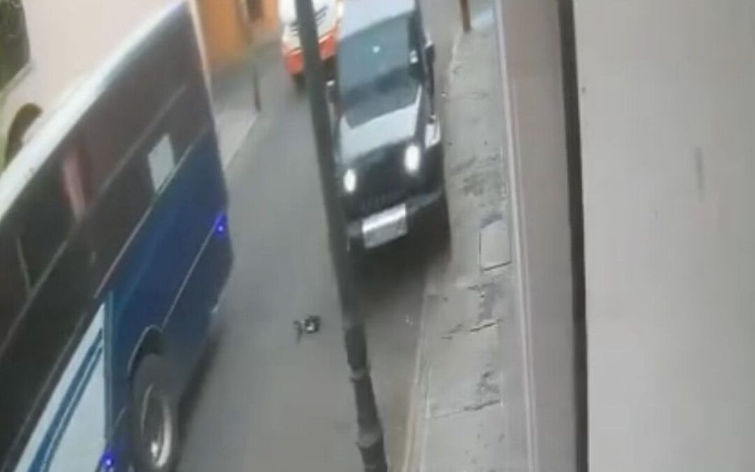 Sindicato de Choferes Aclara Que Mujer Atropellada Descendió en Parada Oficial: Rechazan Sanción de Movilidad