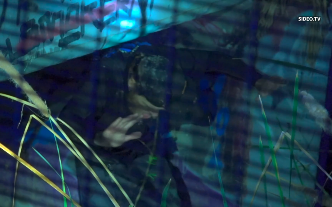 Persecución Policíaca en San Diego: Capturan a Sospechoso de Camioneta Robada Tras Accidente