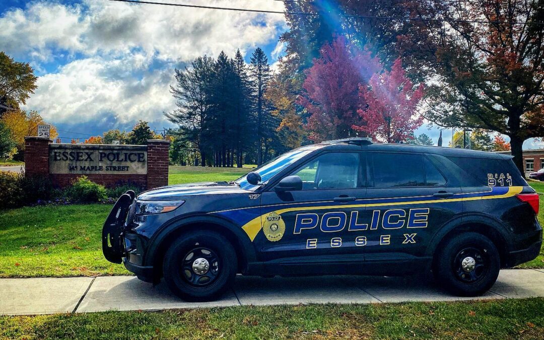 Muerte de un Hombre de 76 Años tras Ataque de Pit Bull en Vermont: Autoridades Investigan