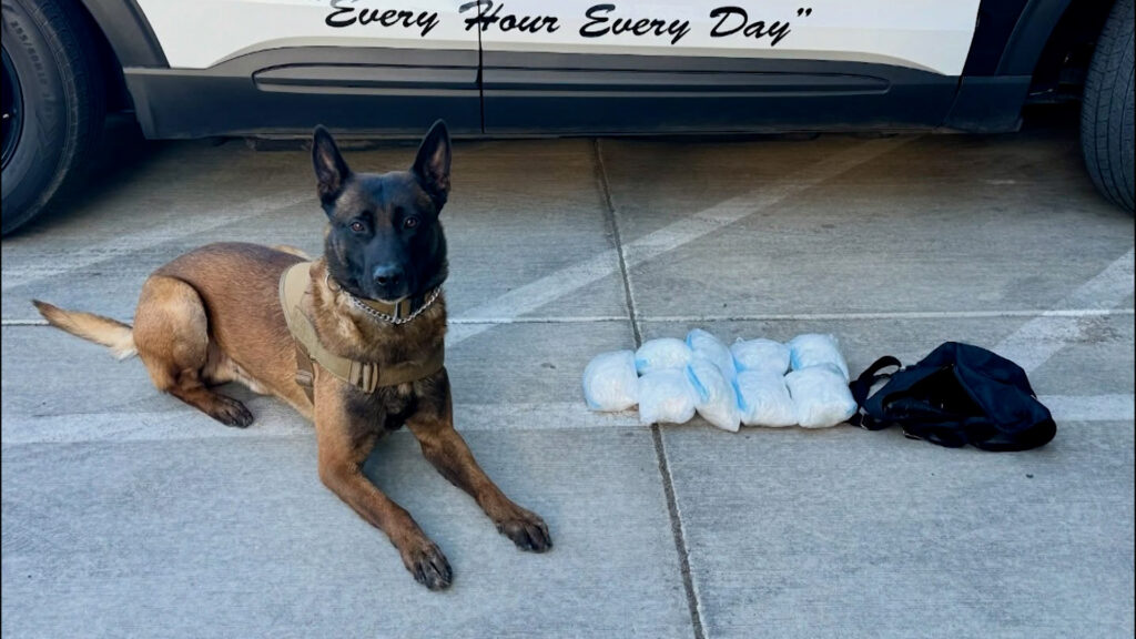 Arresto En El Centro: Conductor Detenido Por Posesión De Narcóticos