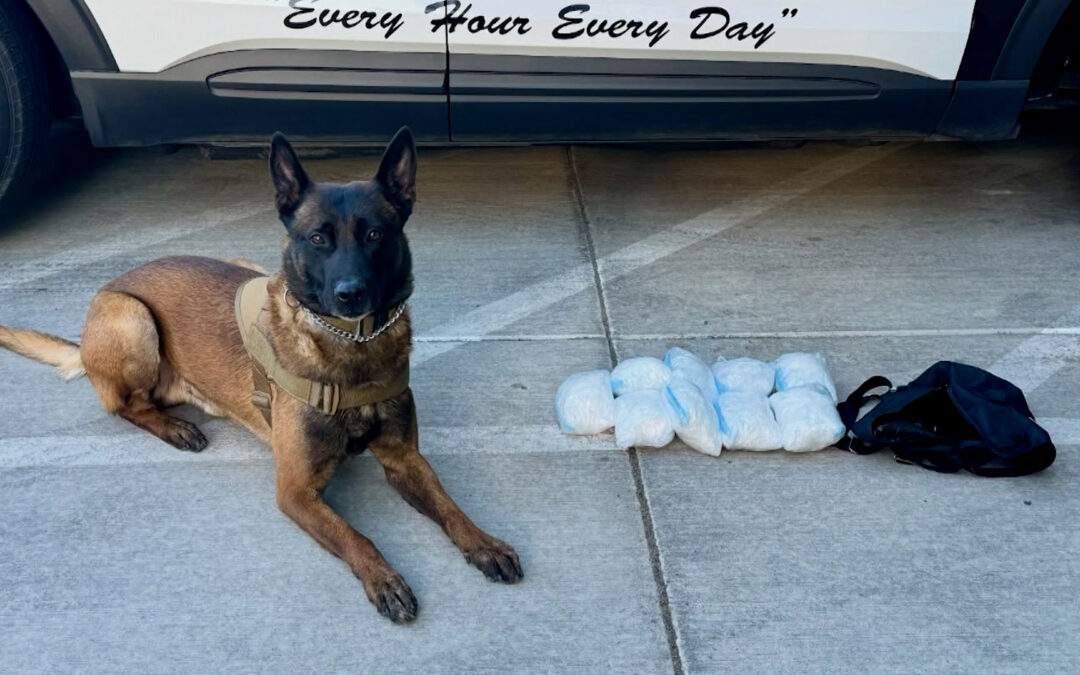 Arresto en El Centro: Conductor detenido por posesión de narcóticos