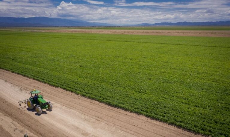 Conflicto en Medio Oriente Impulsa Crisis de Fertilizantes y Aumenta Costos en la Agricultura