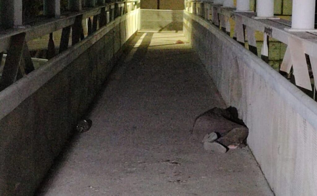 Facultad De Odontología: Estudiantes Denuncian Agresiones De Indigentes En Puente Peatonal
