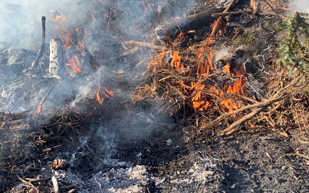 Control de Incendios: TMFPD Preparado para Quemar 50 Pilas de Vegetación Cerca de Mt. Rose Hwy