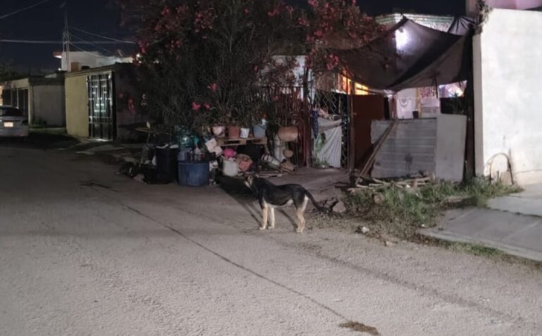 Joven sufre mordida de perro en fraccionamiento Latinoamericano: ¿quién es responsable?