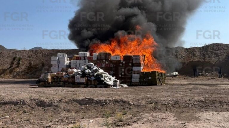 FGR Elimina Más de Una Tonelada de Drogas en Coahuila para Fortalecer la Seguridad