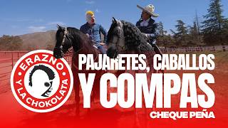 Entre pajaretes, caballos y compas 🐎🥛 con Don @chequepena | La historias sin filtro || PARTE 1