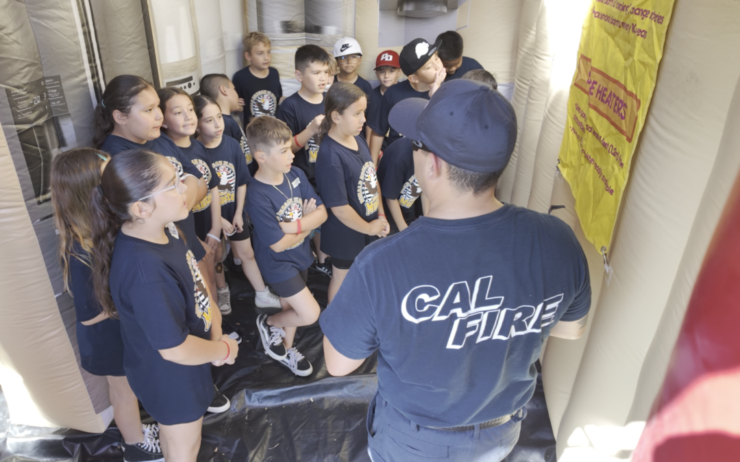 Aprenden de Seguridad Jugando