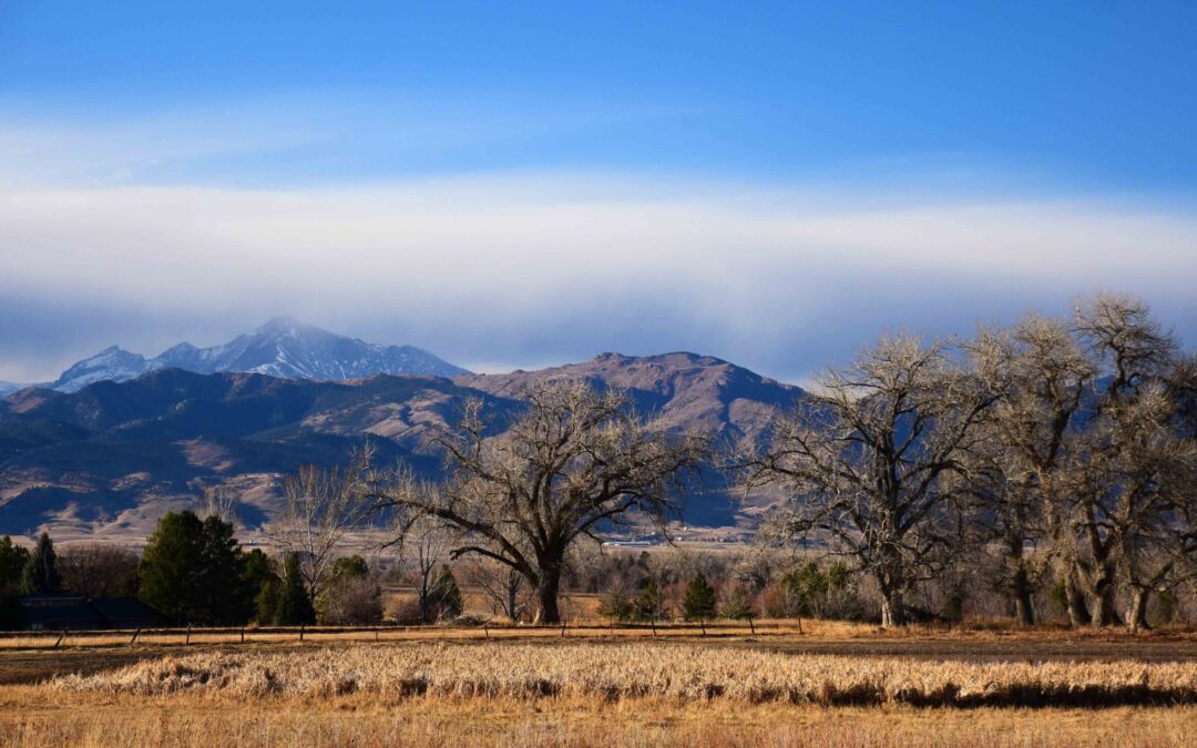 Boulder alerta por sequía: estrategias para conservar agua