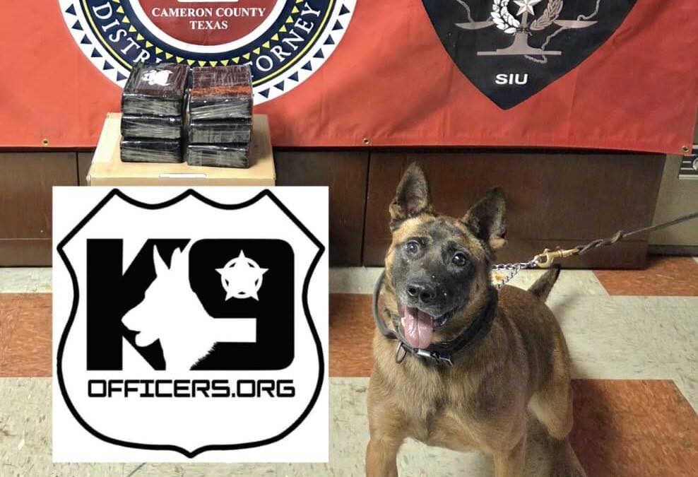 Yak K-9: La Nueva Arma del Condado Cameron Contra el Narcotráfico