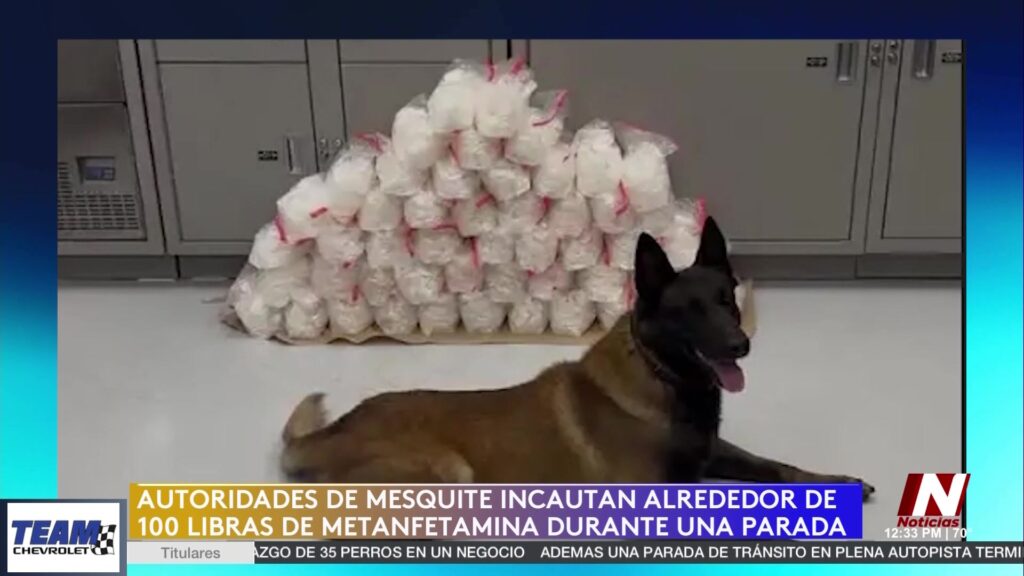 Impactante Incautación De Metanfetamina En Mesquite: Un Golpe Al Narcotráfico - Noticias Notivalle Impactante Incautación De Metanfetamina En Mesquite: Un Golpe Al Narcotráfico
