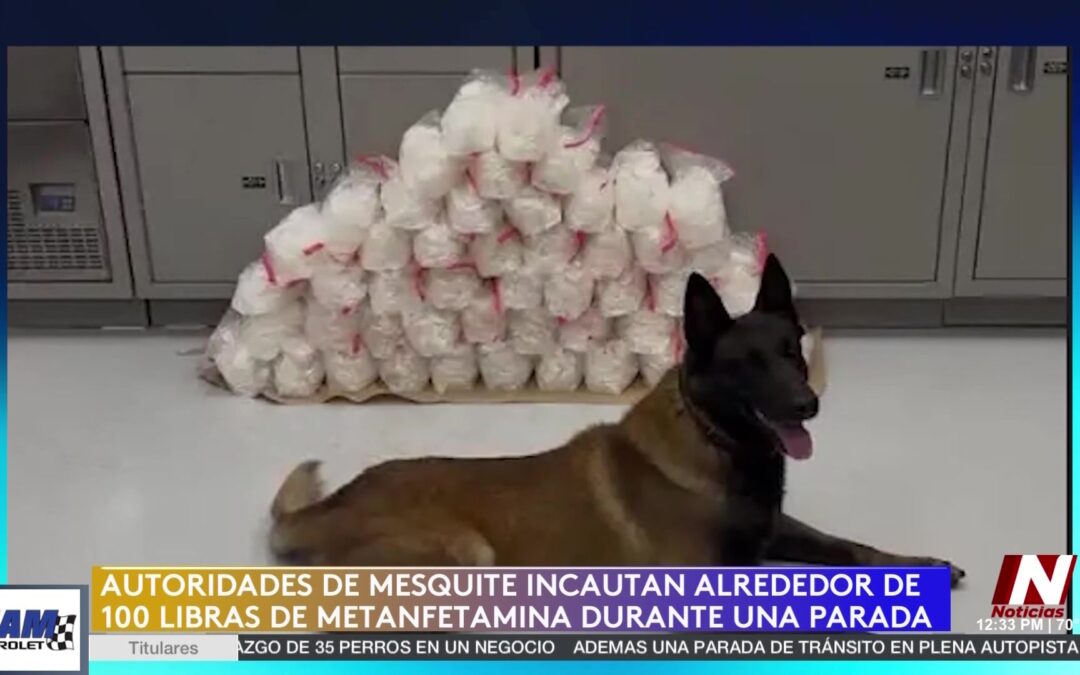 Impactante Incautación de Metanfetamina en Mesquite: Un Golpe al Narcotráfico