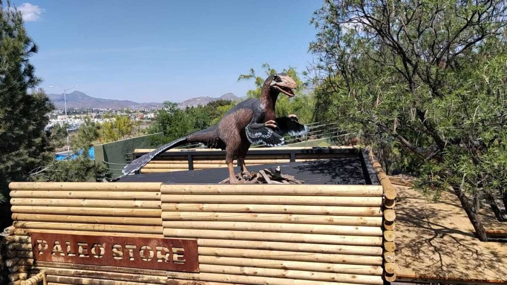 Descubre Las Nuevas Áreas Del Museo Del Desierto En Saltillo Tras Inversión Millonaria - Noticias Notivalle Descubre Las Nuevas Áreas Del Museo Del Desierto En Saltillo Tras Inversión Millonaria